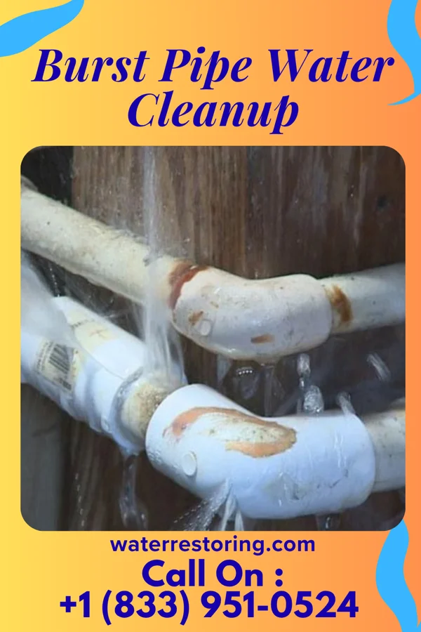 Burst Pipe Water Cleanup in Riviera Beach, MD