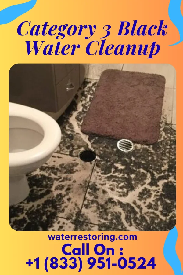 Category 3 Black Water Cleanup in Riviera Beach, MD