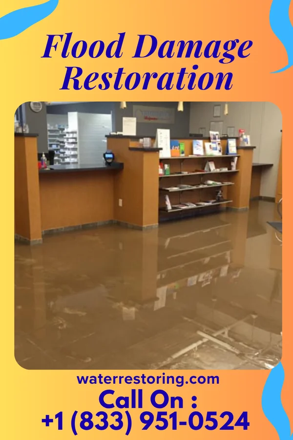 Flood Damage Restoration in Riviera Beach, MD