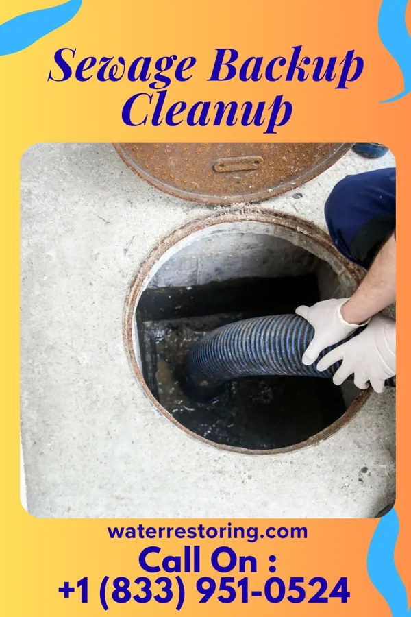 Sewage Backup Cleanup in Riviera Beach, MD