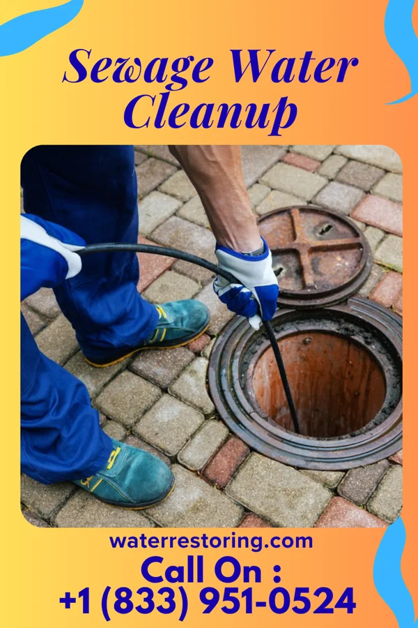 Sewage Water Cleanup in Riviera Beach, MD