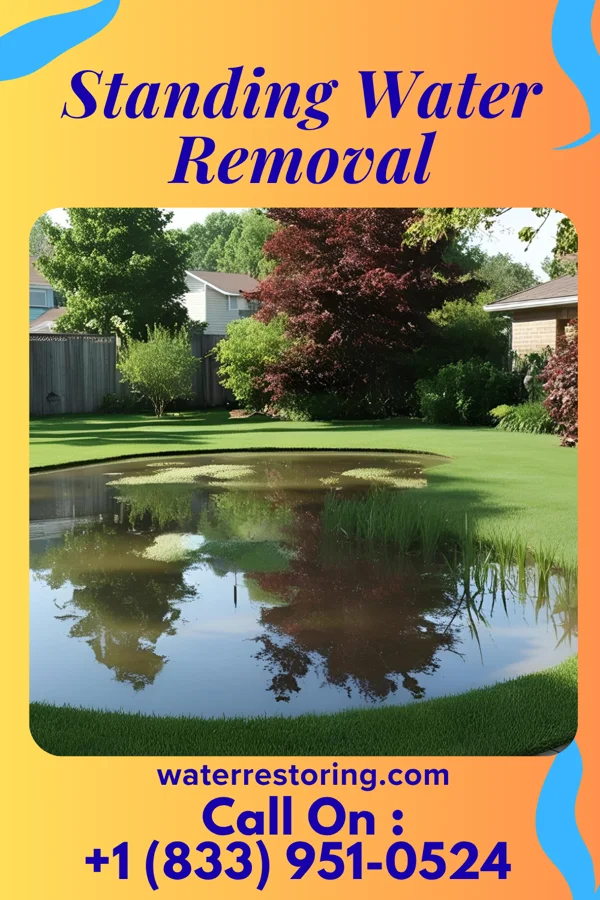 Standing Water Removal in Riviera Beach, MD